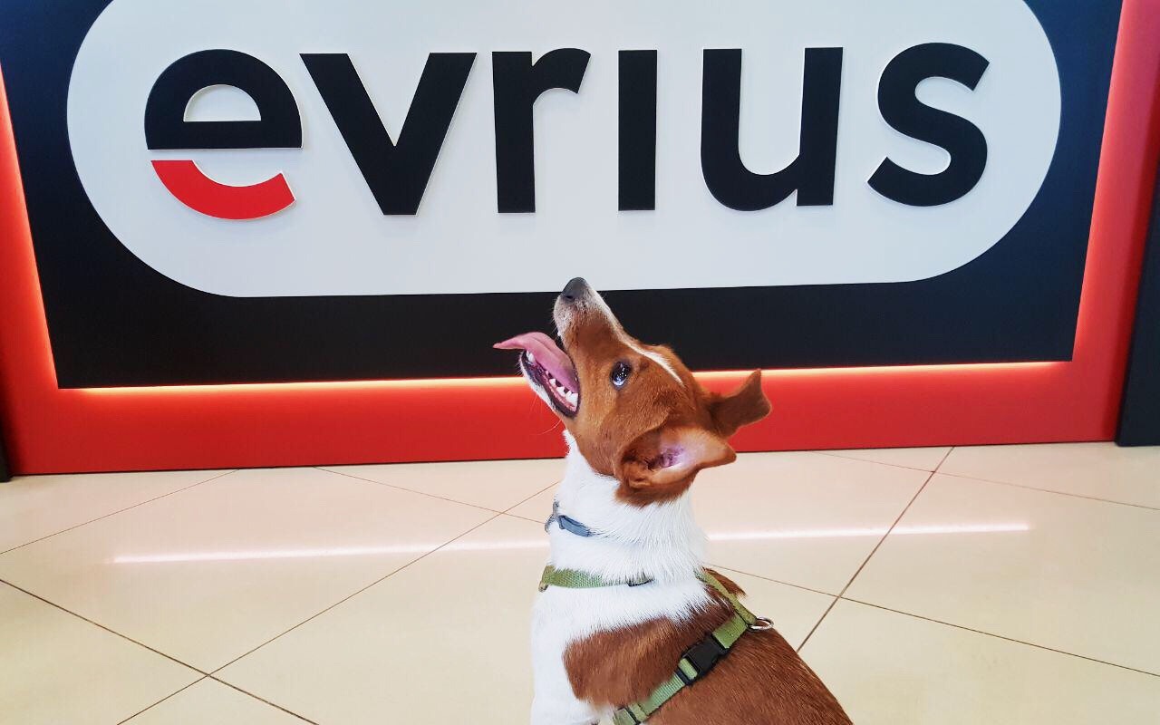 Evrius — вакансия в Team Lead Sales Manager (Ad network)