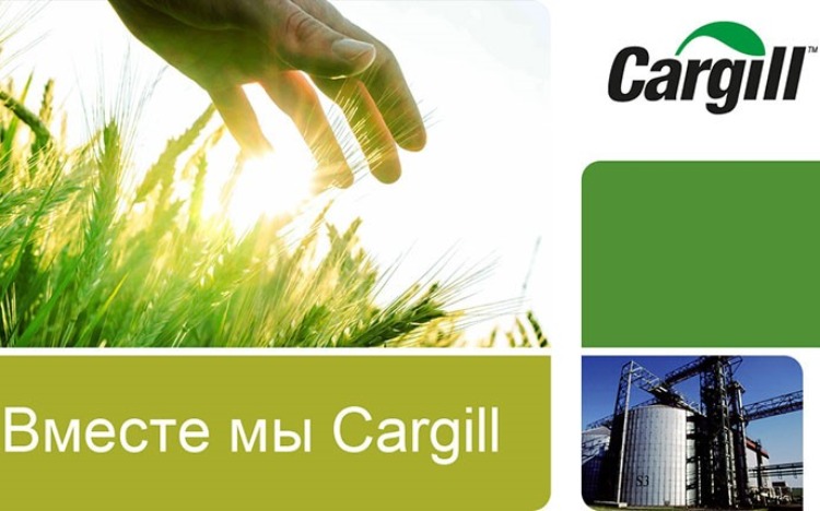 Cargill — вакансия в Credit Analyst: фото 2